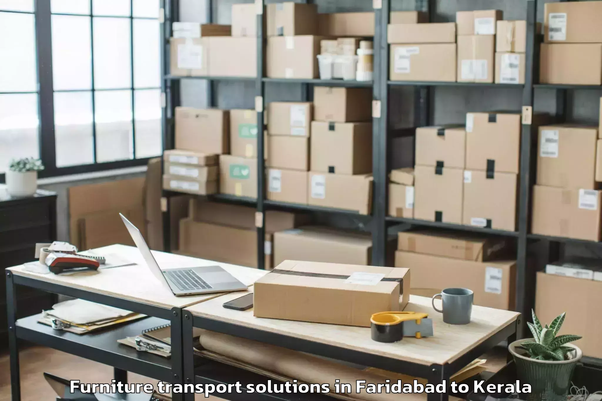 Book Faridabad to Kanayannur Furniture Transport Solutions